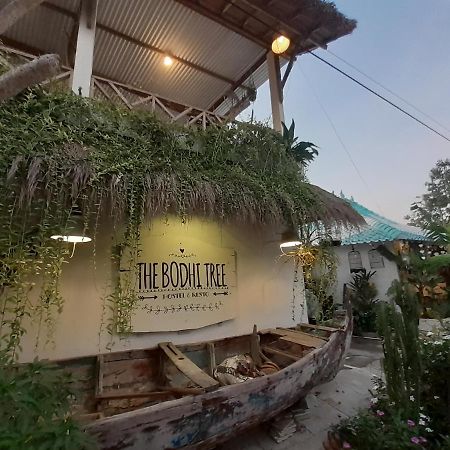 The Bodhi Tree Karimunjawa Hostel Buitenkant foto
